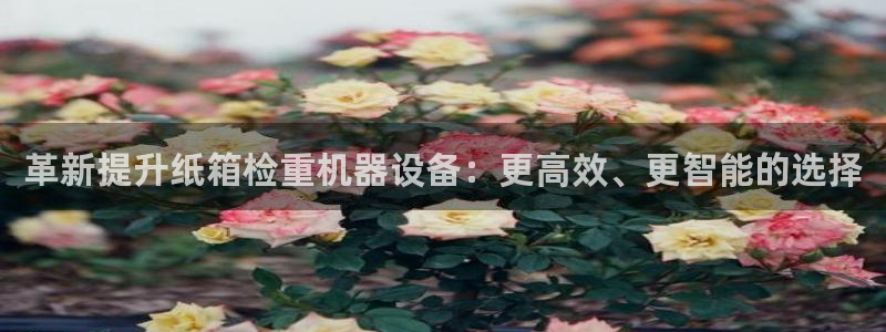 顺盈娱乐注册登录