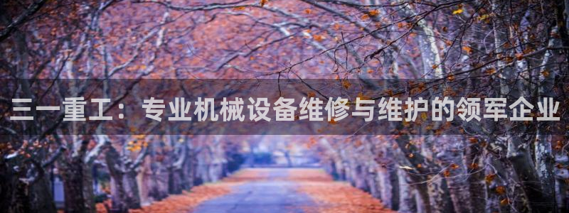 清远顺盈娱乐集团实习