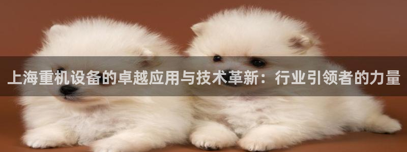 顺盈娱乐最高代理人是谁