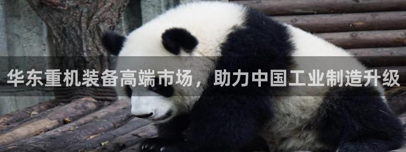顺盈娱乐官网下载