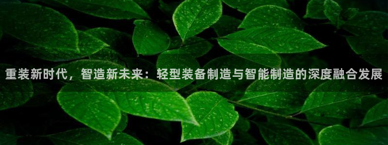 顺盈娱乐代理