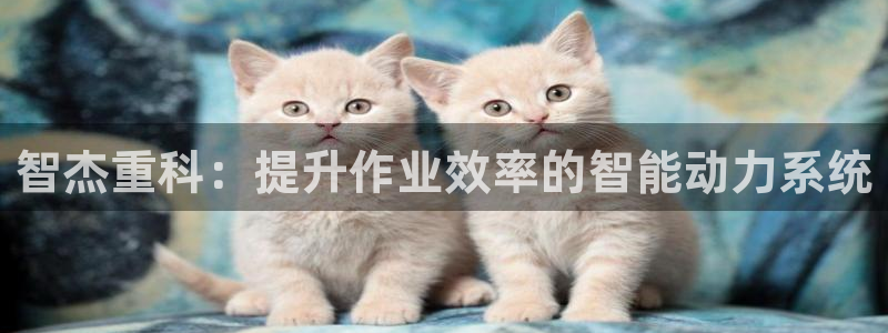 顺盈娱乐主管吉判官333OO