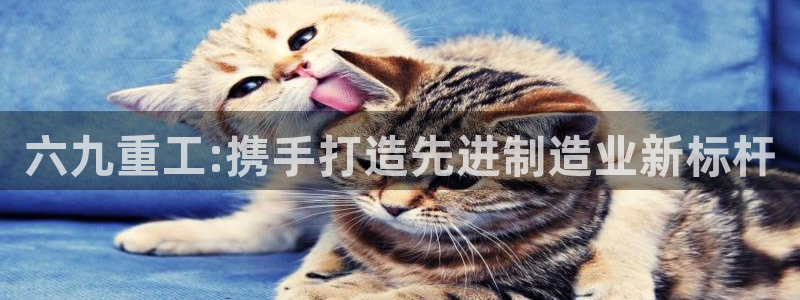 顺盈娱乐公司介绍