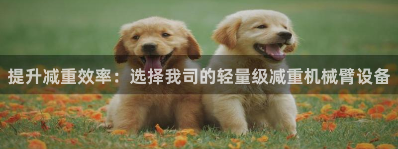 顺盈娱乐下载安装官方