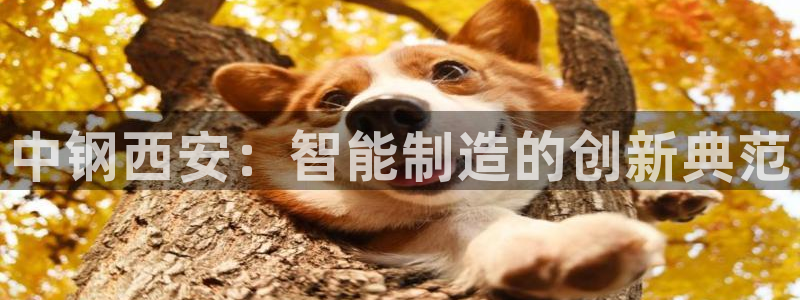 盈顺休闲娱乐室门票价格
