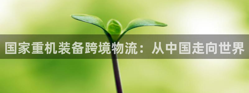 娱乐顺盈国际