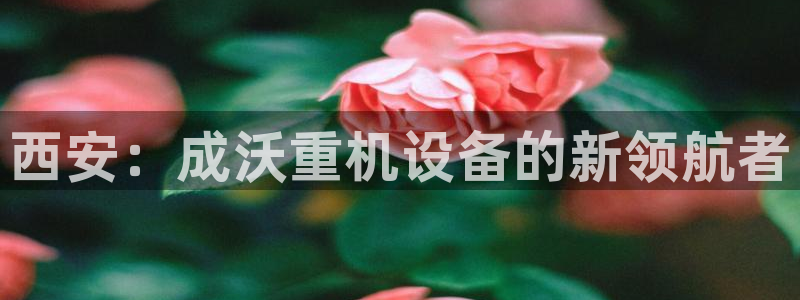 盈顺棋牌娱乐室电话