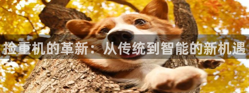 顺盈娱乐网：捡重机的革新：从传统到智能的新机遇