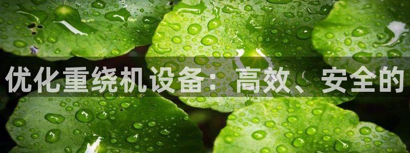 清远顺盈娱乐怎么样