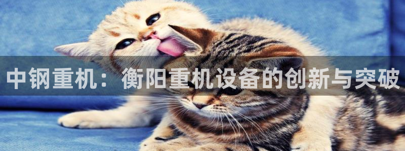 盈顺休闲娱乐室：中钢重机：衡阳重机设备的创新与突破