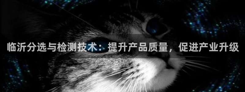 顺盈娱乐注册平台是什么：临沂分选与检测技术：提升产品质量，促