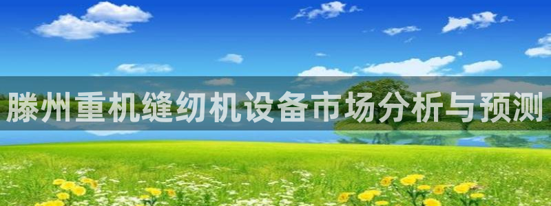 顺盈娱乐市究7276O