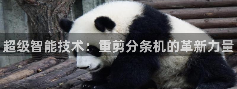 顺盈娱乐下载官网最新版：超级智能技术：重剪分条机的革新力量