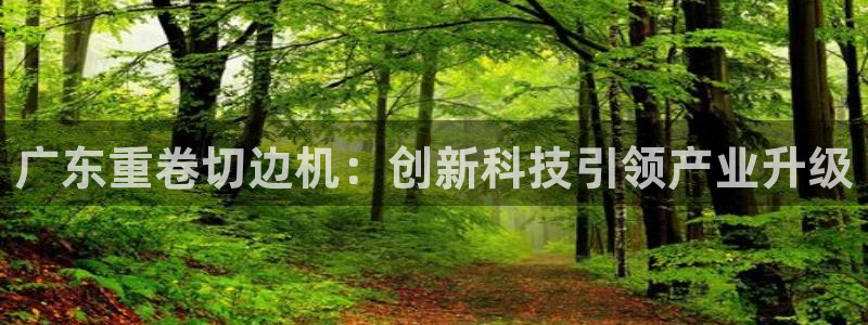 顺盈娱乐平台最新活动：广东重卷切边机：创新科技引领产业升级