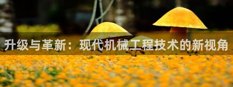 顺盈时代广场娱乐城：升级与革新：现代机械工程技术的新视角