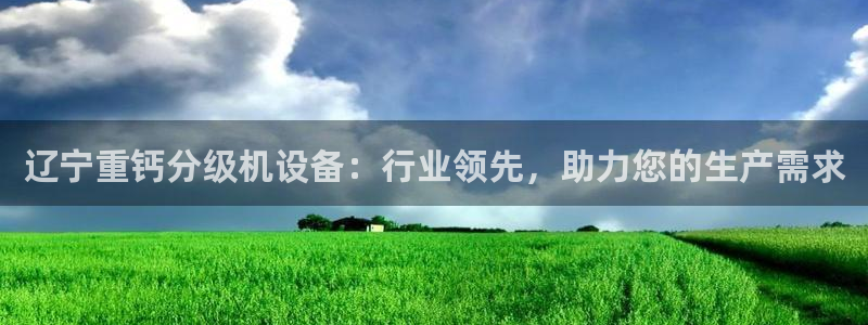 顺盈娱乐平台官网电话：辽宁重钙分级机设备：行业领先，助力您的