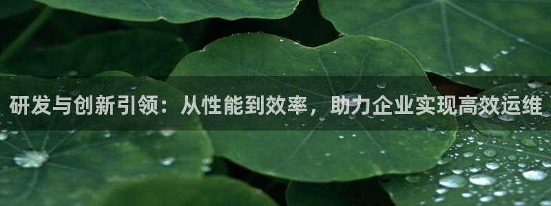 顺盈娱乐易7O777