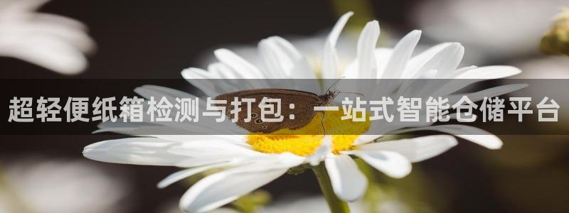 顺盈娱乐棋牌：超轻便纸箱检测与打包：一站式智能仓储平台