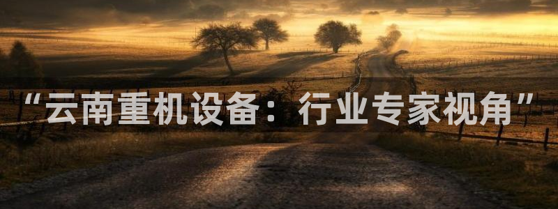 顺盈2娱乐彩票：“云南重机设备：行业专家视角”