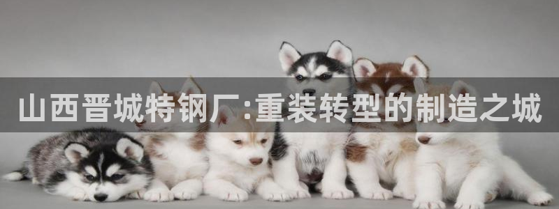 顺盈娱乐招商天原判官333OO