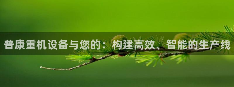 清远顺盈娱乐城：普康重机设备与您的：构建高效、智能的生产线