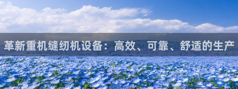 顺盈娱乐975949：革新重机缝纫机设备：高效、可靠、舒适的