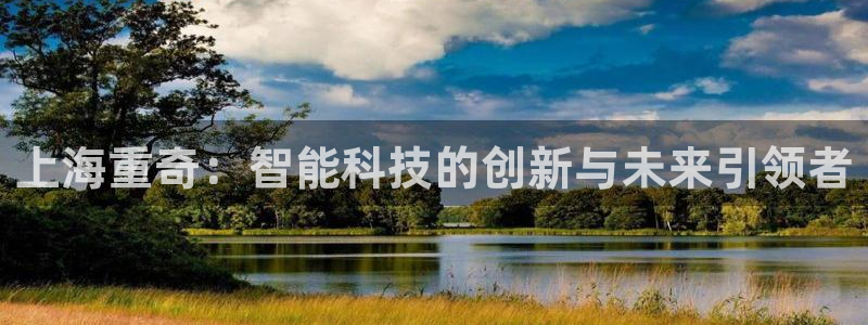 顺盈娱乐在线注册账号：上海重奇：智能科技的创新与未来引领者
