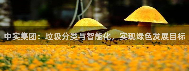 顺盈娱乐是什么意思