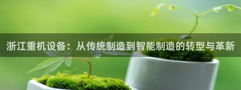 顺盈娱乐下载安装官方版：浙江重机设备：从传统制造到智能制造的