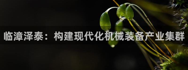 顺盈娱乐下载安装官方：临漳泽泰：构建现代化机械装备产业集群