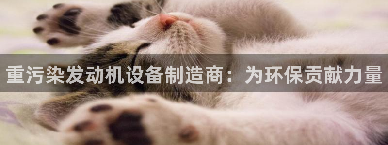 顺盈娱乐注册资金多少：重污染发动机设备制造商：为环保贡献力量