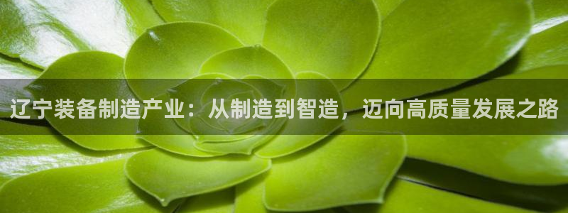 顺盈娱乐结究7276O