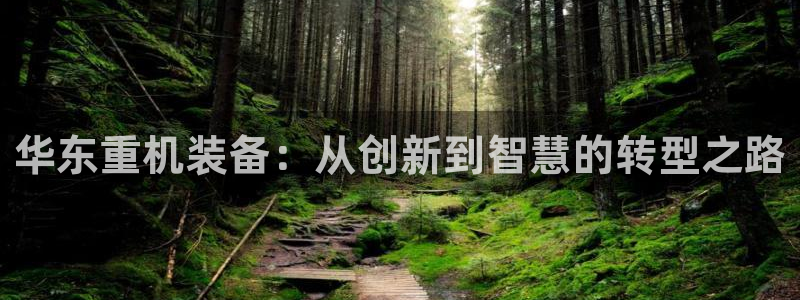 顺盈娱乐主管待判官333OO