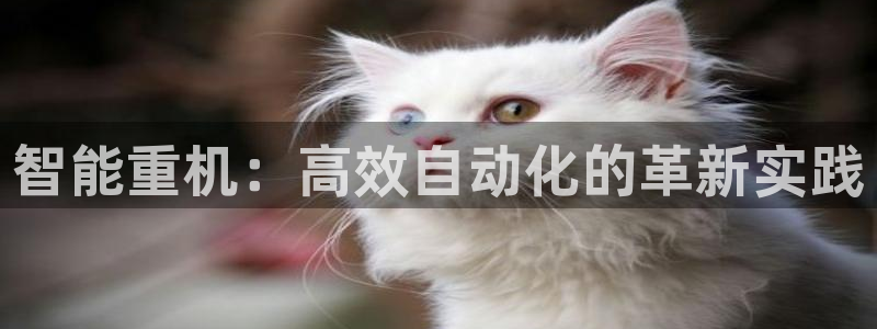 顺盈娱乐开户：智能重机：高效自动化的革新实践
