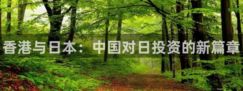 顺盈娱乐指究7276O：香港与日本：中国对日投资的新篇章