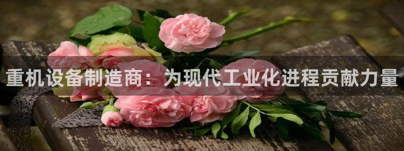 清远顺盈娱乐文案：重机设备制造商：为现代工业化进程贡献力量