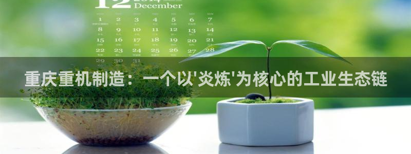 顺盈娱乐注册平台是什么