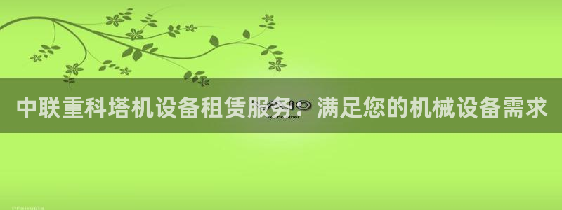 顺盈娱乐主管：中联重科塔机设备租赁服务：满足您的机械设备需求