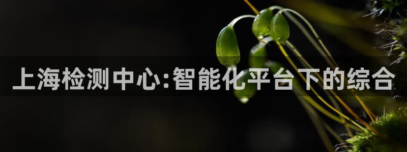 应县盈顺休闲娱乐室电话