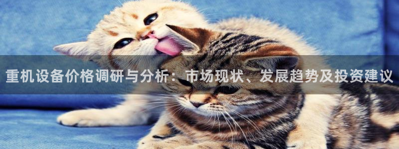 顺盈娱乐平台官网电话