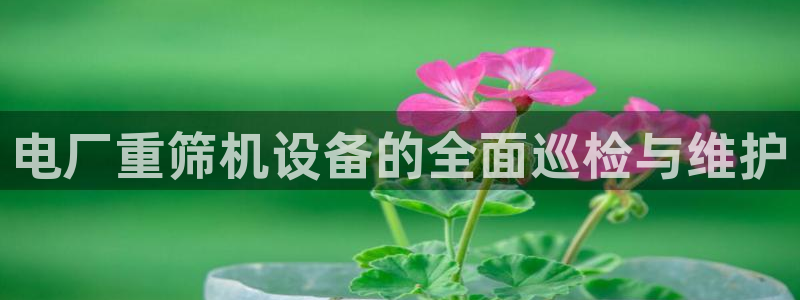 顺盈娱乐下载手机版：电厂重筛机设备的全面巡检与维护