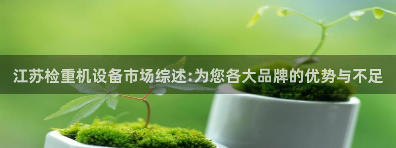 顺盈娱乐各究7276O