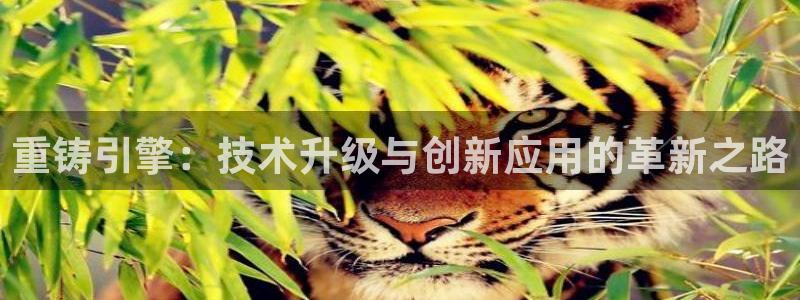 顺盈娱乐官网下载