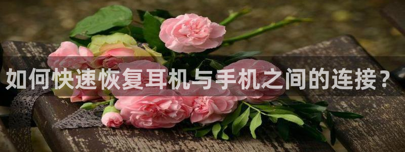 顺盈娱乐在线开户