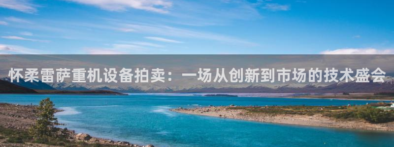 顺盈娱乐总代：怀柔雷萨重机设备拍卖：一场从创新到市场的技术盛
