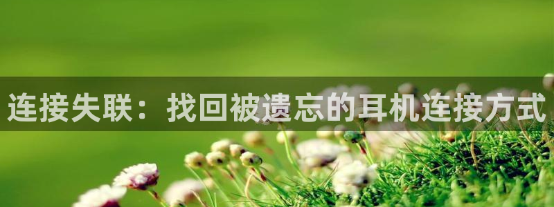 顺盈娱乐下载app