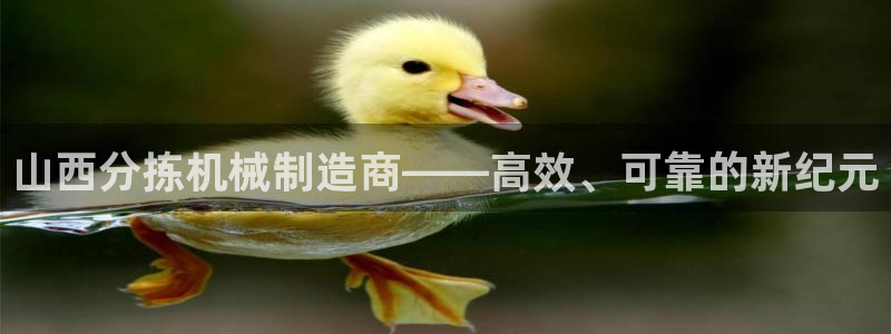 顺盈娱乐平台最新活动：山西分拣机械制造商——高效、可靠的新纪