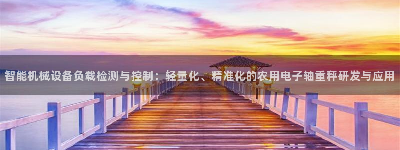 顺盈娱乐注册问一问：智能机械设备负载检测与控制：轻量化、精准