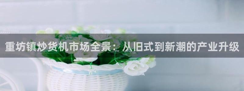 顺盈娱乐总代：重坊镇炒货机市场全景：从旧式到新潮的产业升级