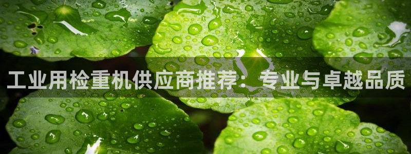 盈顺休闲娱乐室抖音团购：工业用检重机供应商推荐：专业与卓越品